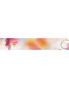 SHINE & RAINBOW COLLECTION